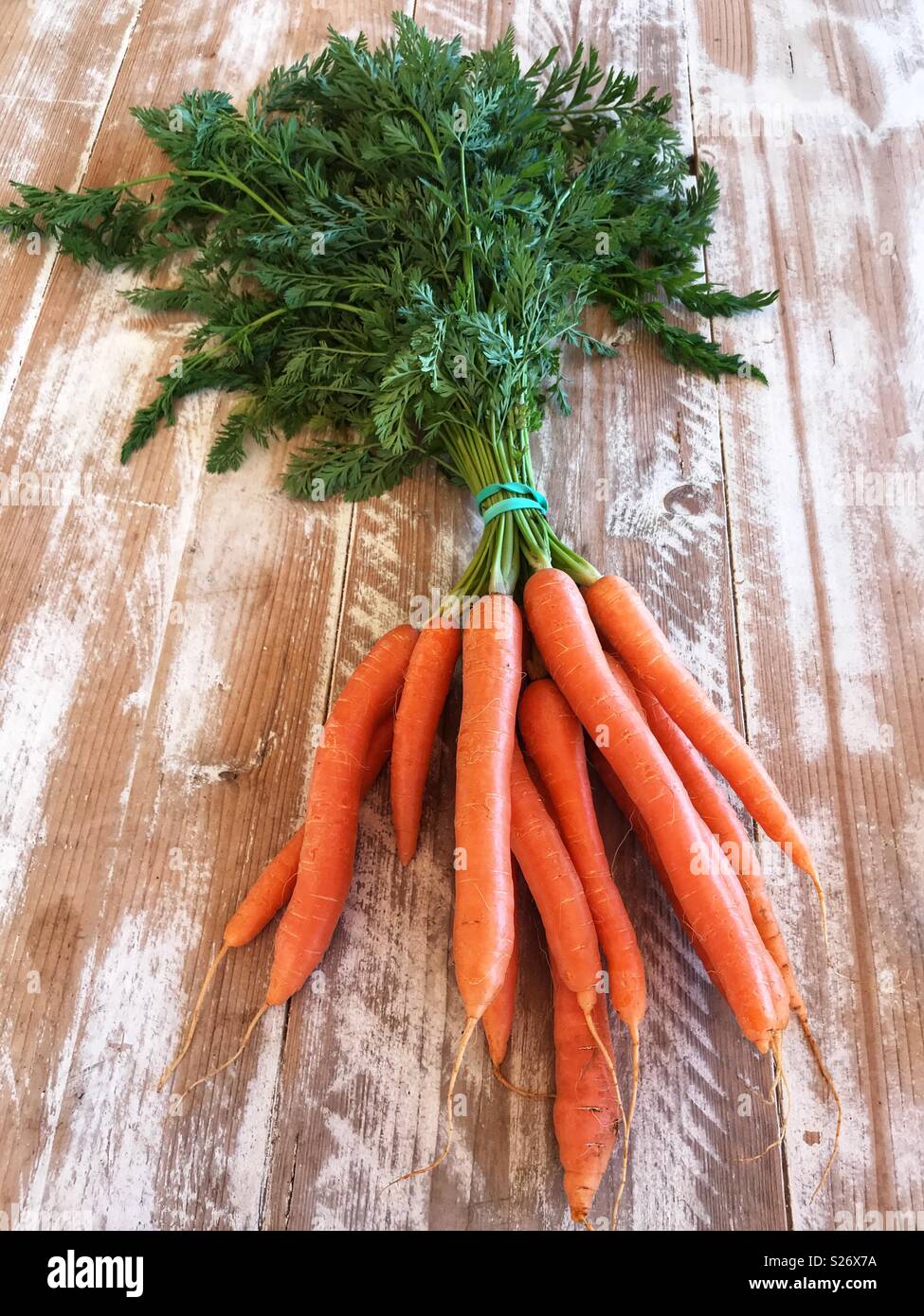 Fresh produce, bunch of Organic carrots with carrot greens, high angle view Stock Photo
