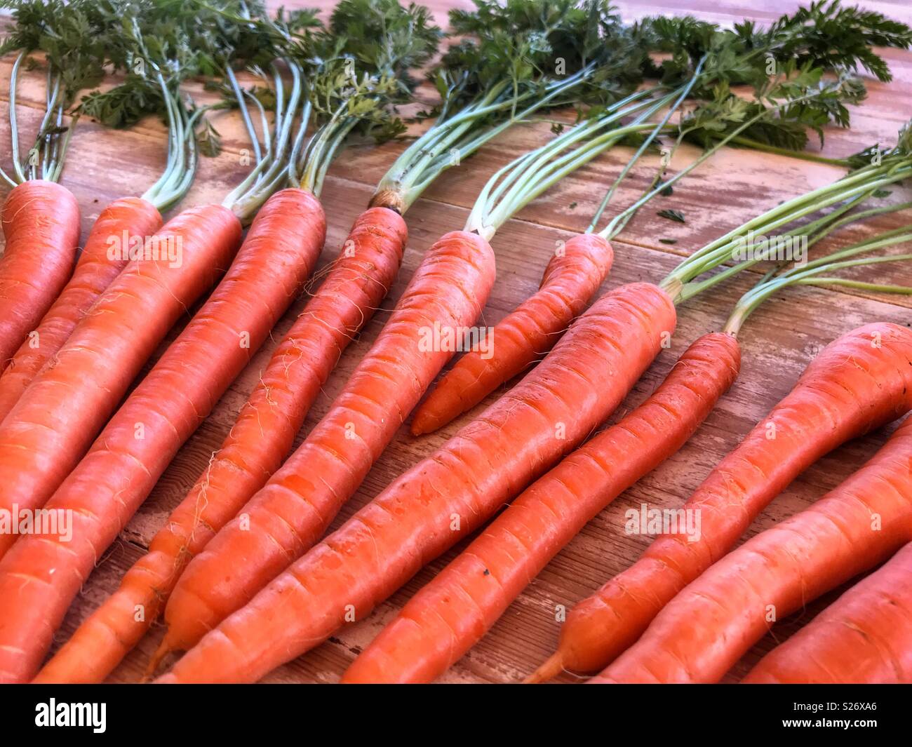 Fresh produce, Organic carrots with carrot greens, high angle view Stock Photo