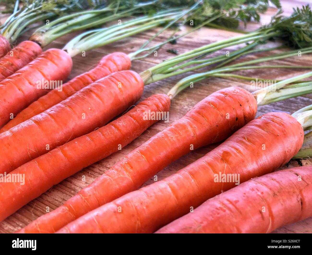 Fresh produce, Organic carrots with carrot greens, high angle view Stock Photo