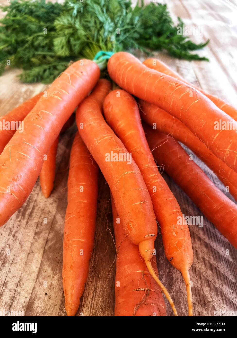 Fresh produce, organic carrots, close-up - Smartphone Captured Stock Image