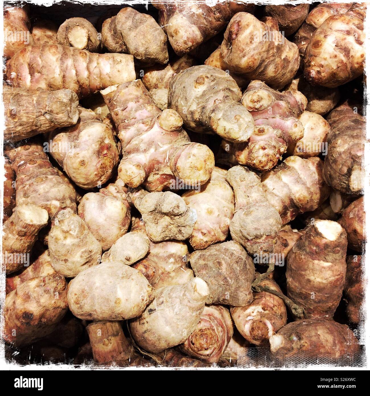 Root ginger for sale Stock Photo Alamy