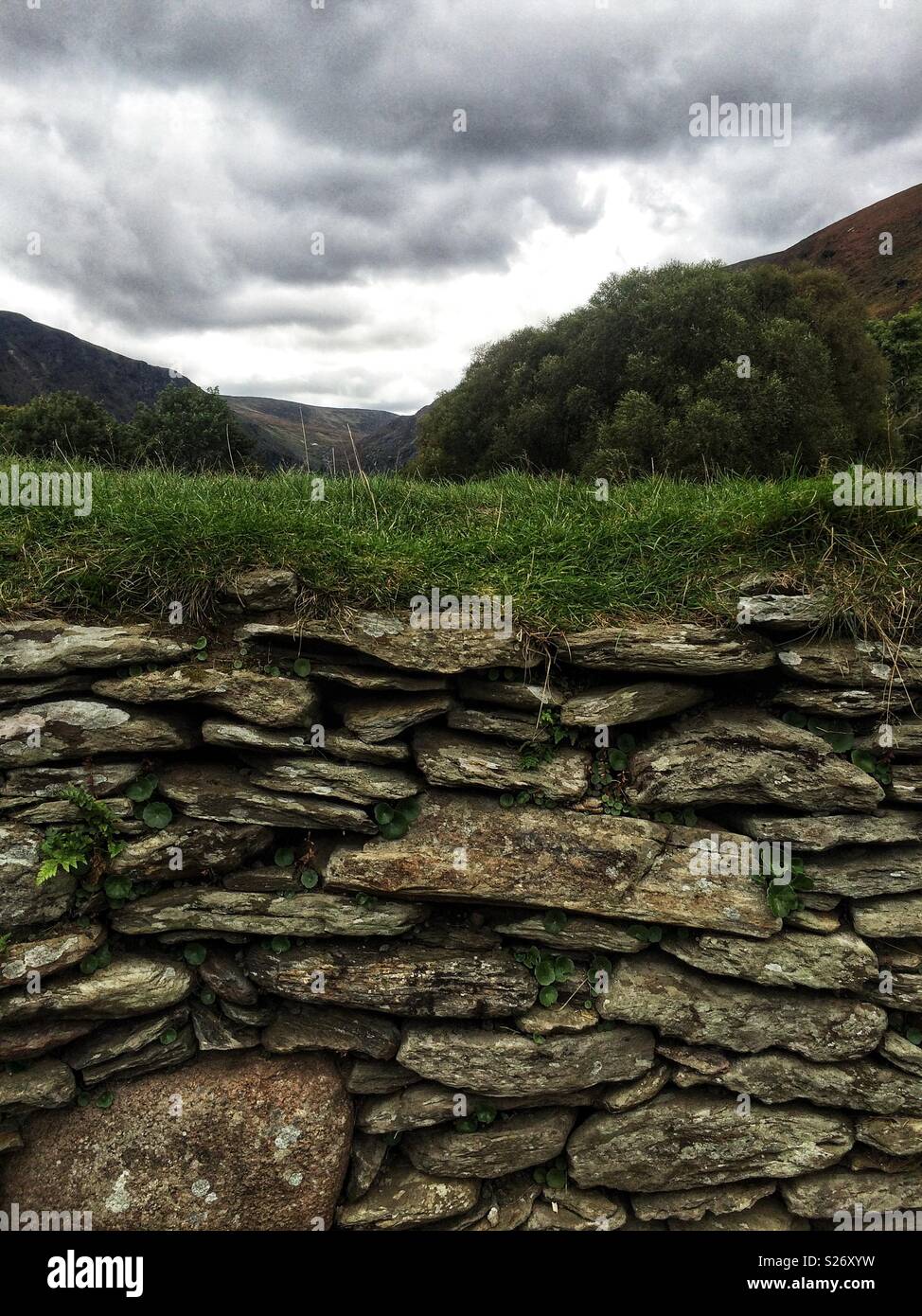 Stone wall in Ireland Stock Photo Alamy