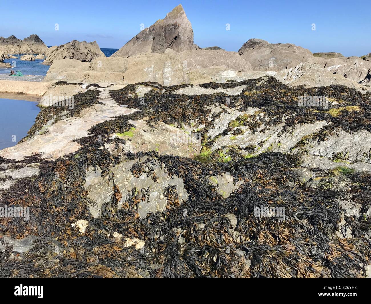 Tunnels beaches Stock Photo Alamy