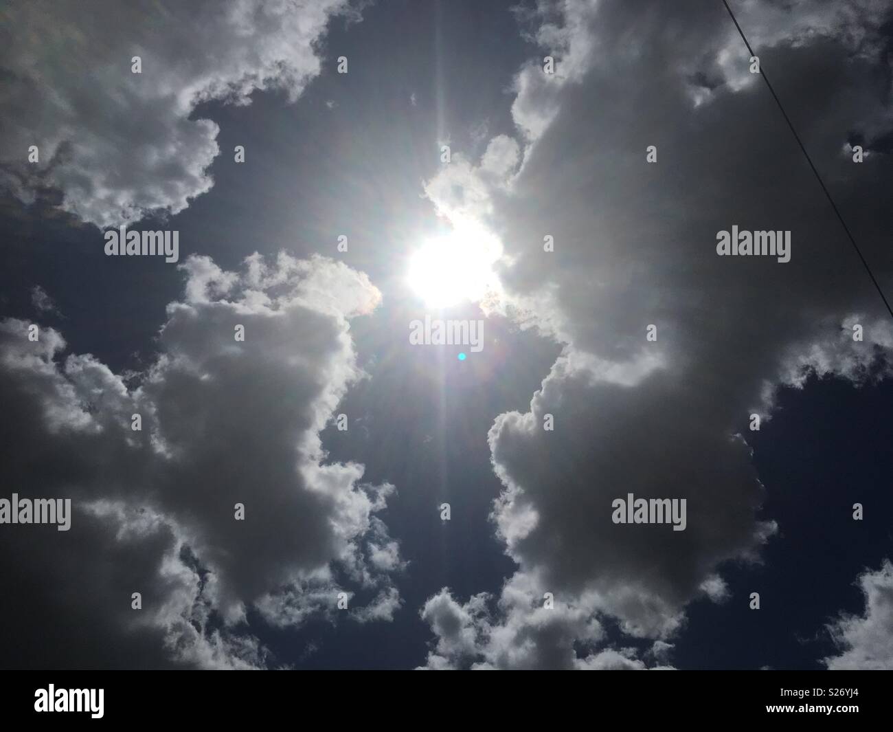 Summer sun Stock Photo