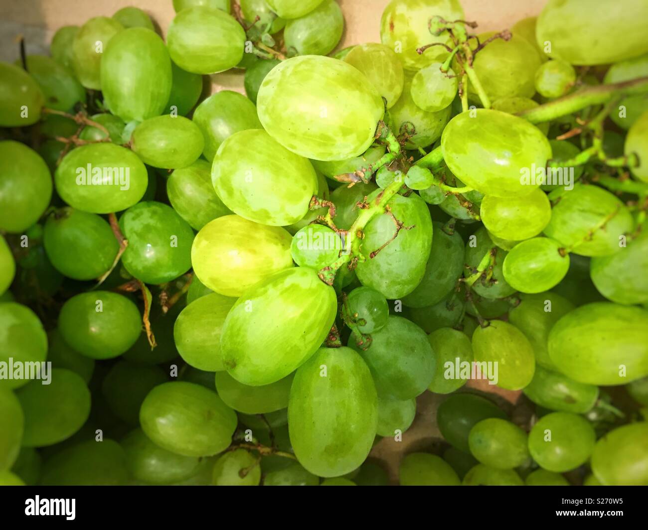 Fresh green grapes - Smartphone Captured Stock Image
