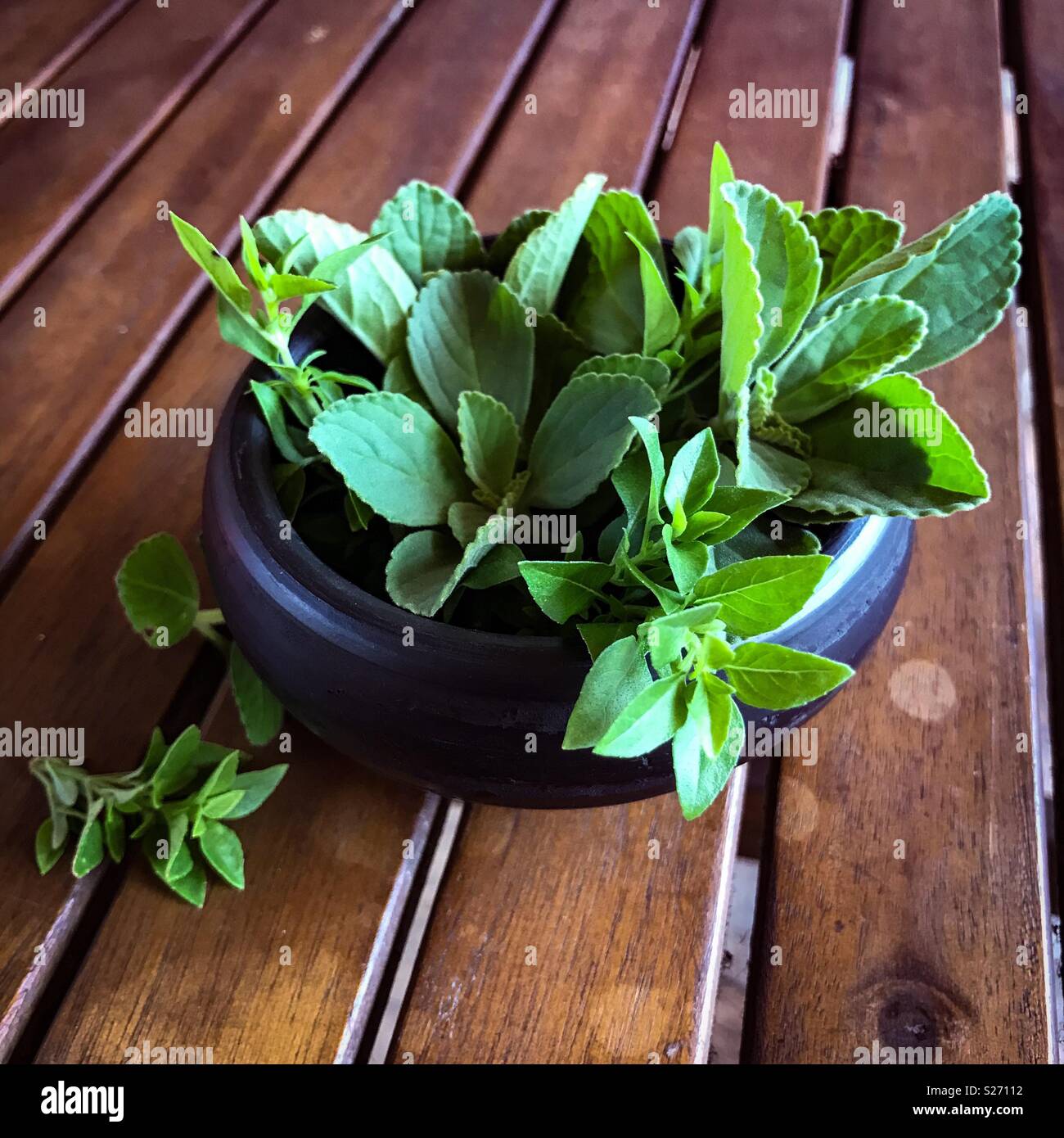 Herbs in a small terracotta pot on a wooden table - Smartphone Captured Stock Image