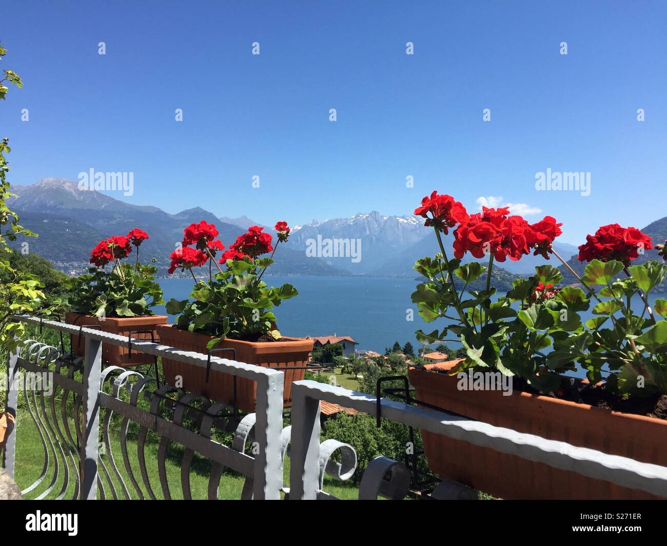 Bright red geraniums with backdrop of alpine mountains and lake Stock ...