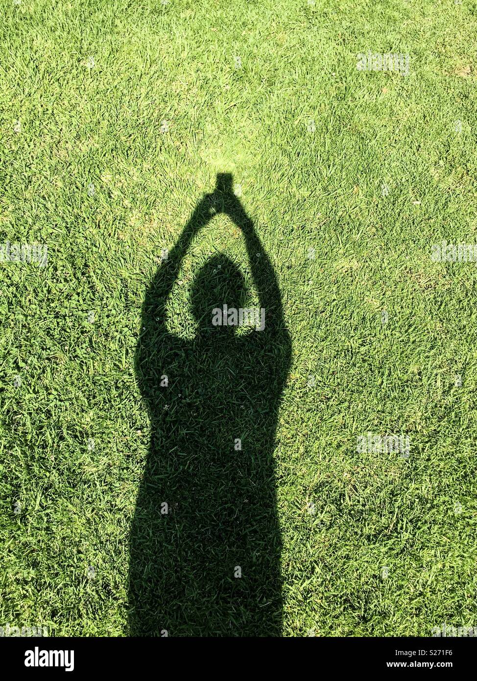 Silhouette of man on the grass making a selfie - Smartphone Captured Stock Image