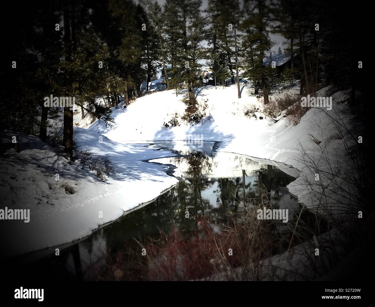 Whitefish Montana Weather by Month Overview