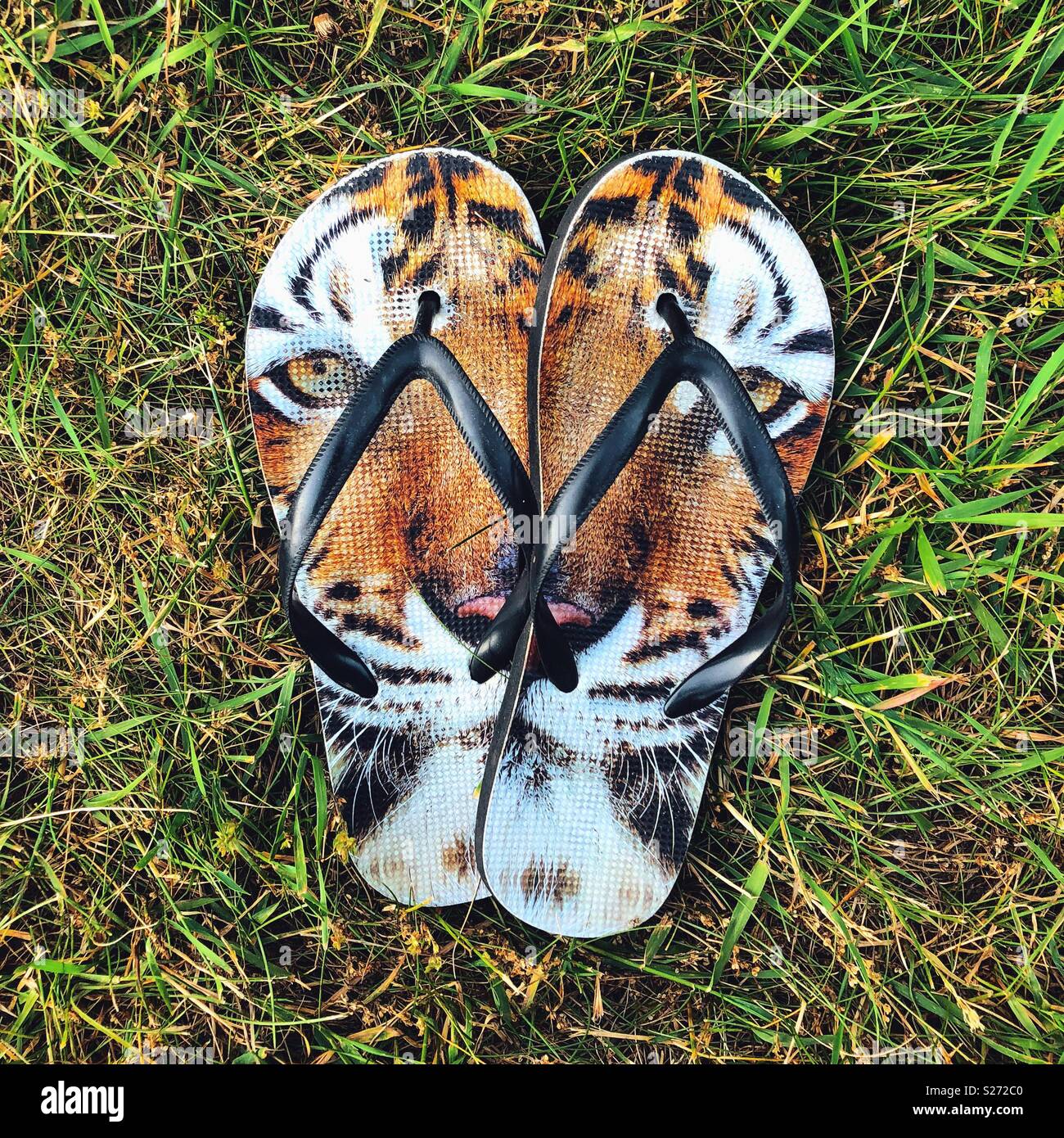 Flip flop sandals with tiger design in 