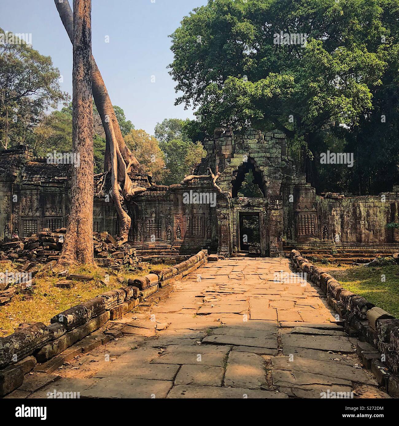 Temple ruins with jungle Stock Photo - Alamy