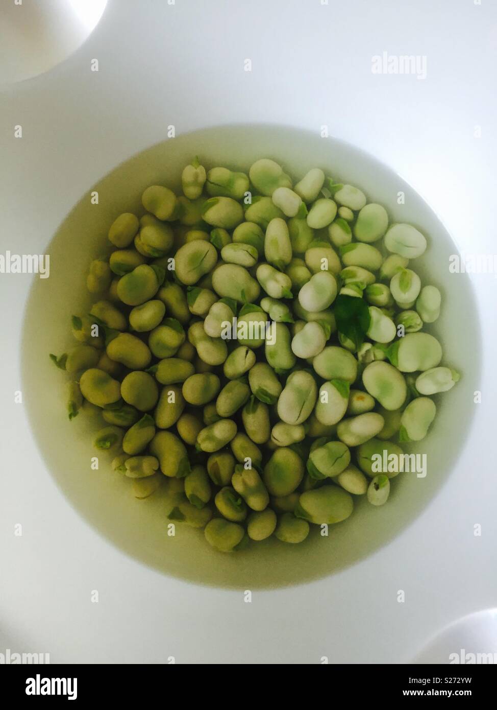 Broad beans in a bowl - Smartphone Captured Stock Image
