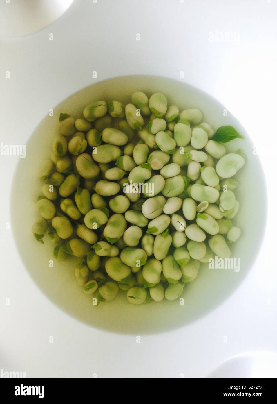 Bowl of broad beans - Smartphone Captured Stock Image
