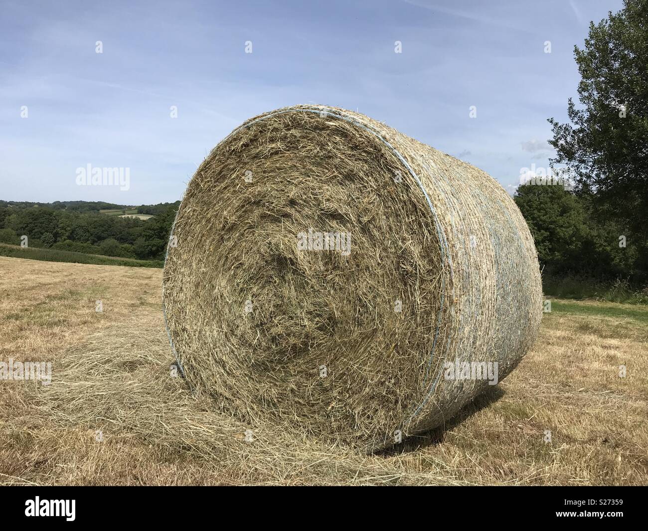 Hay bale in field Stock Photo
