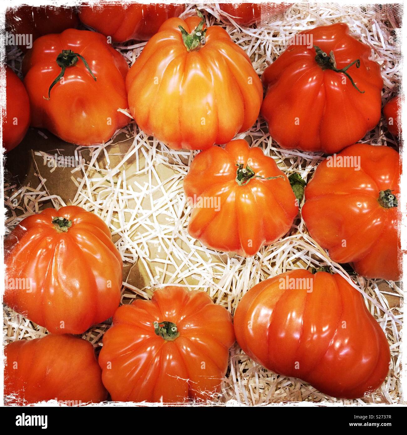 Marmande tomatoes for sale Stock Photo