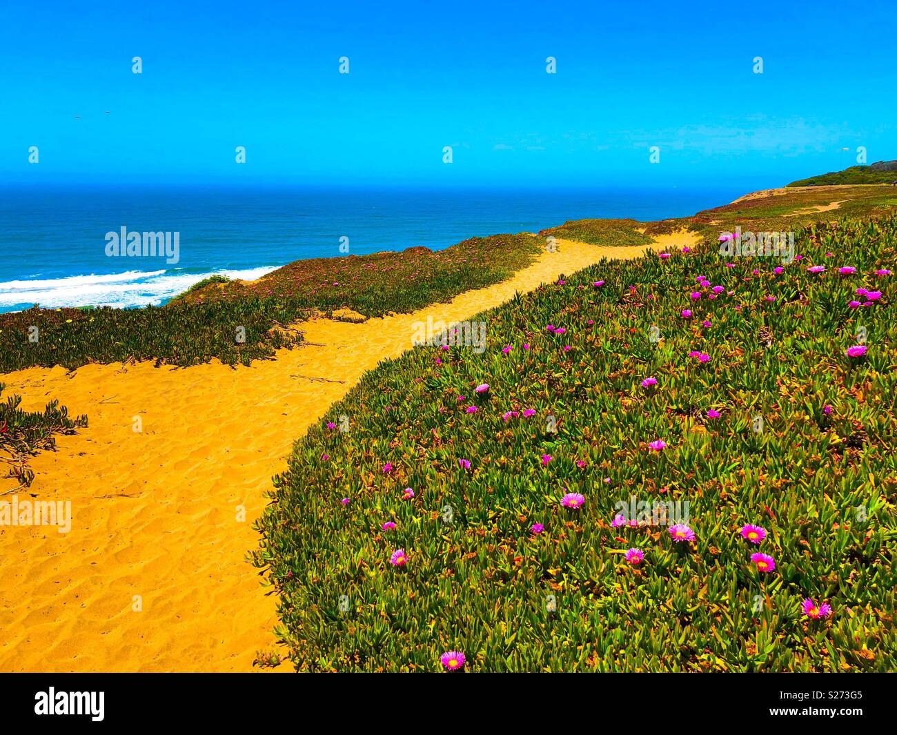 California coastal trail - Smartphone Captured Stock Image