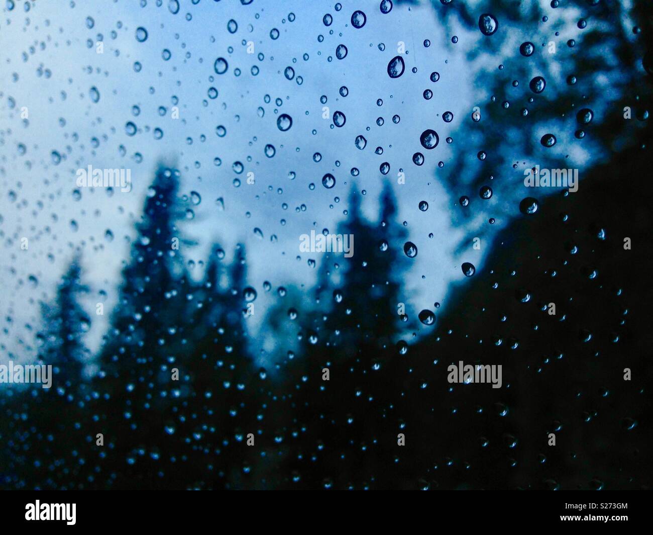 Raindrops on car window with pine trees in background at a campground in Canada Stock Photo