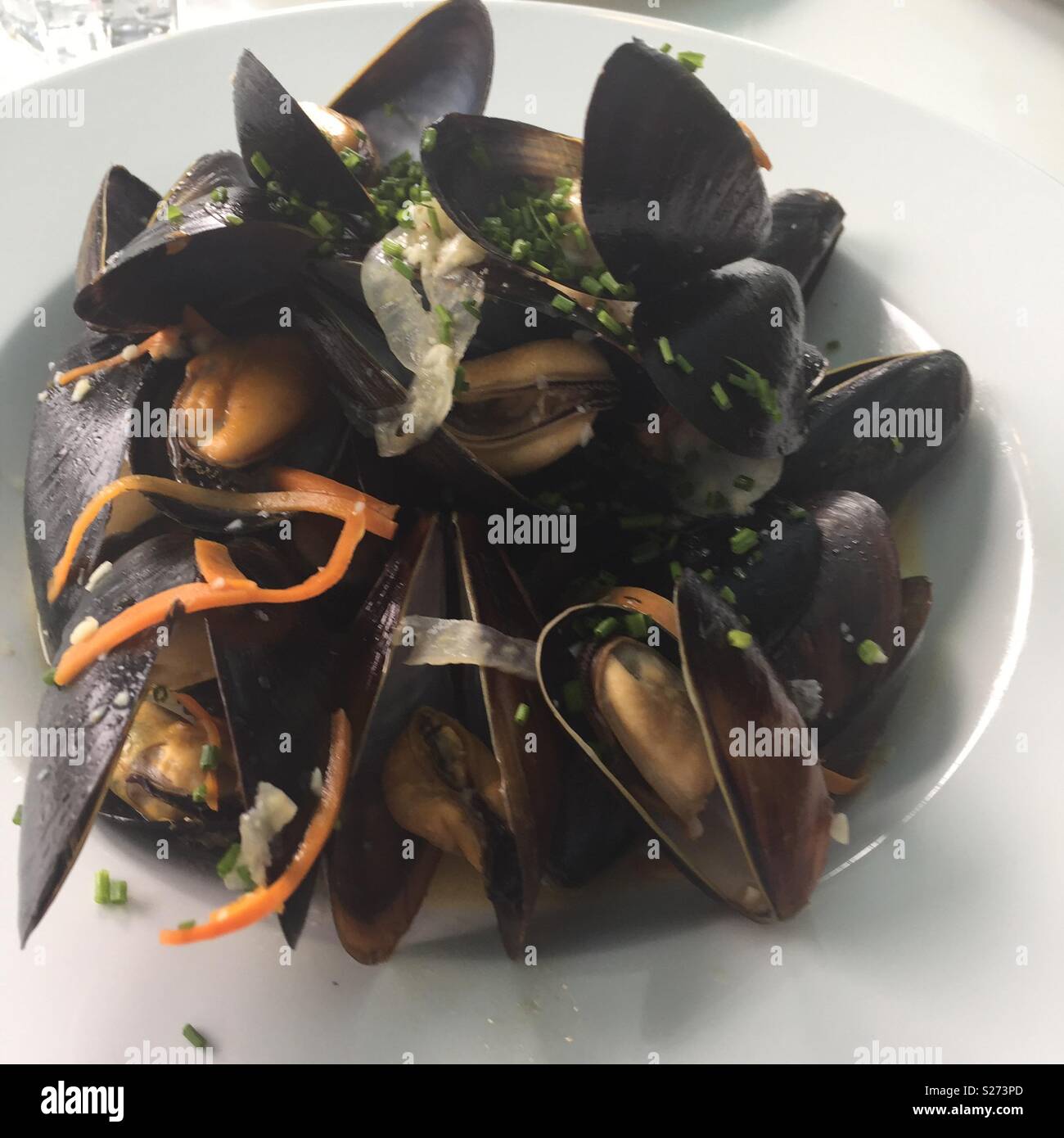 Blue mussels in white wine – yummy! Stock Photo