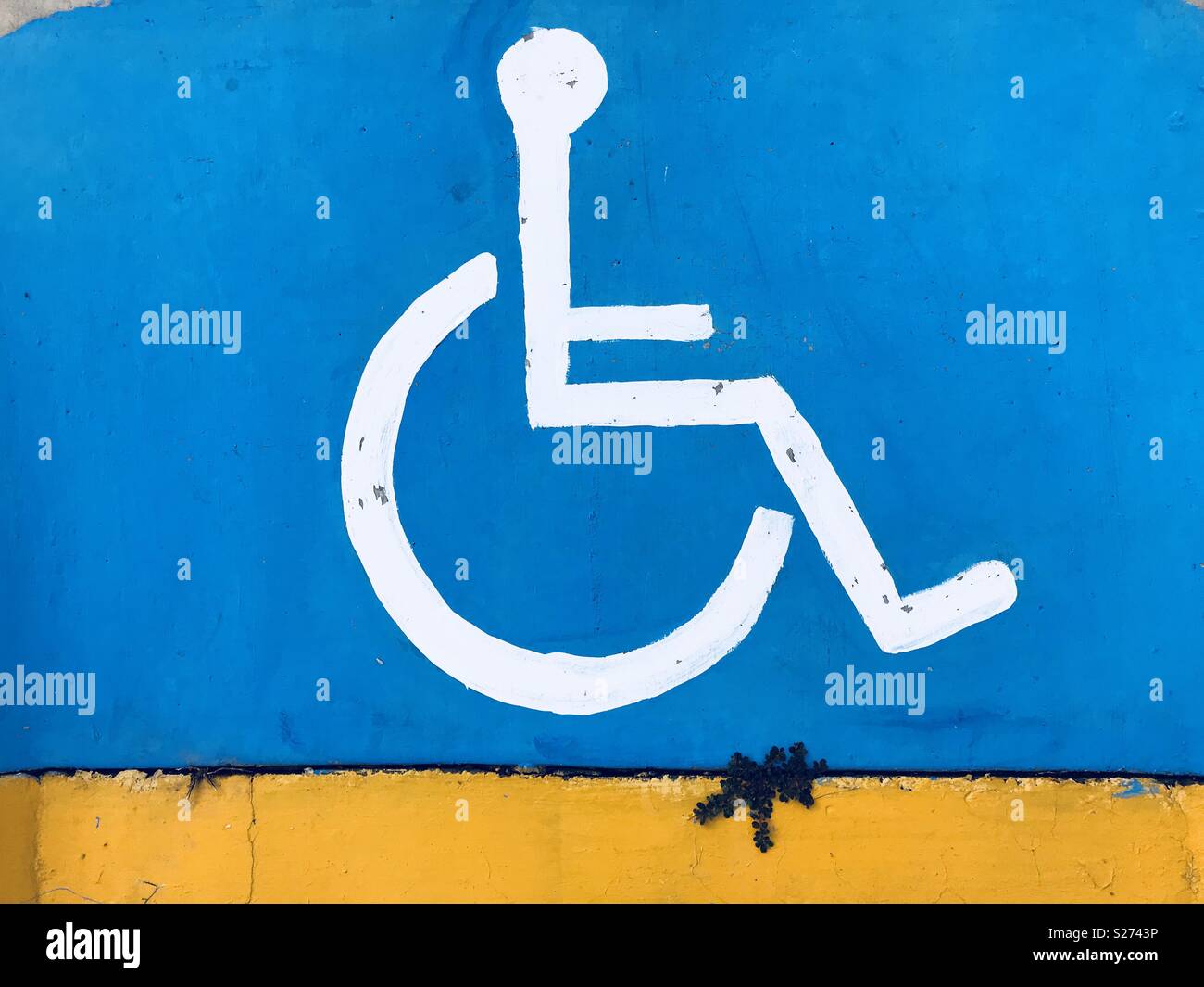 disability area sign on concrete. wheelchair icon and on the bottom a plant Stock Photo