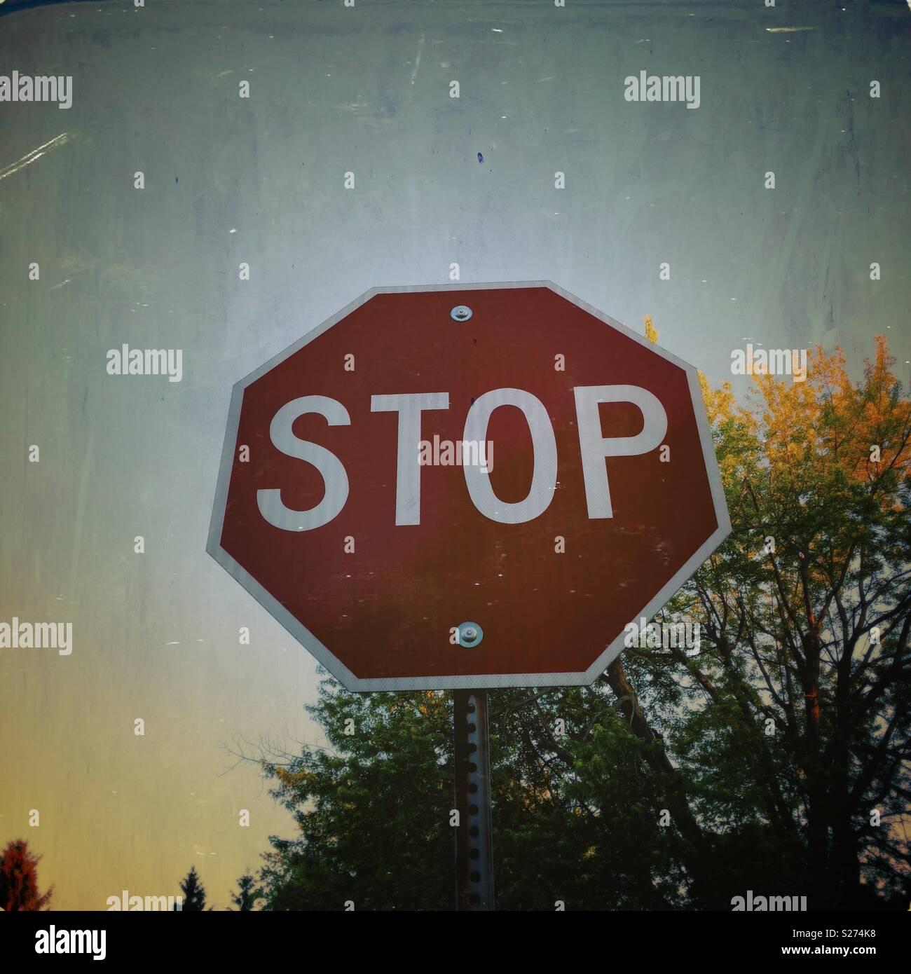 Stop sign - Smartphone Captured Stock Image