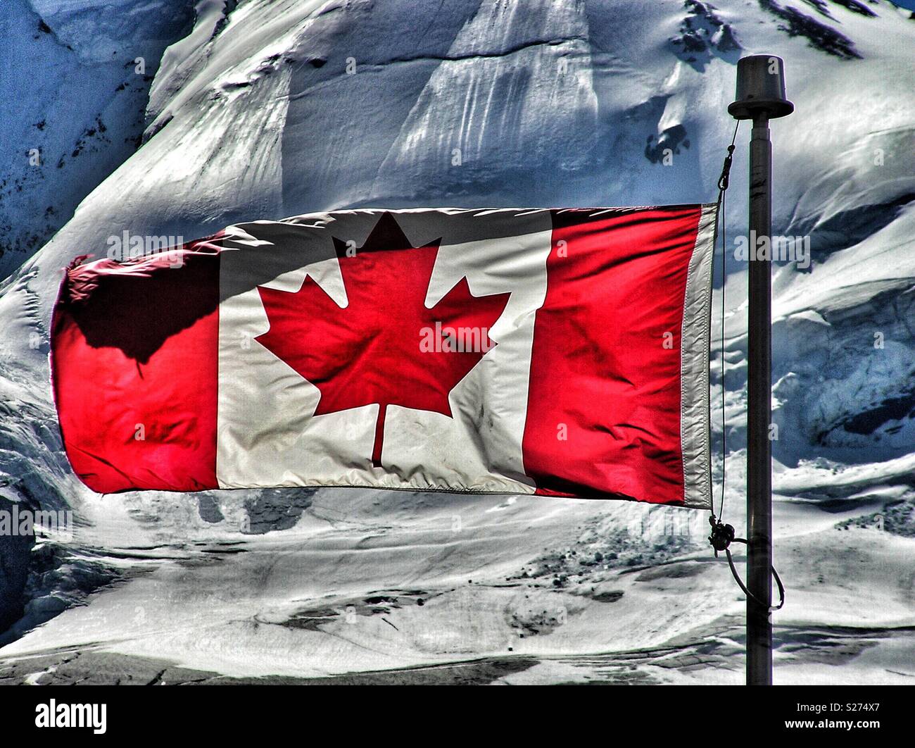 Icefields Parkway, Banff National Park, Canada. The Canadian Flag flying horizontally in a strong wind in front of an ice covered mountain. - Smartphone Captured Stock Image
