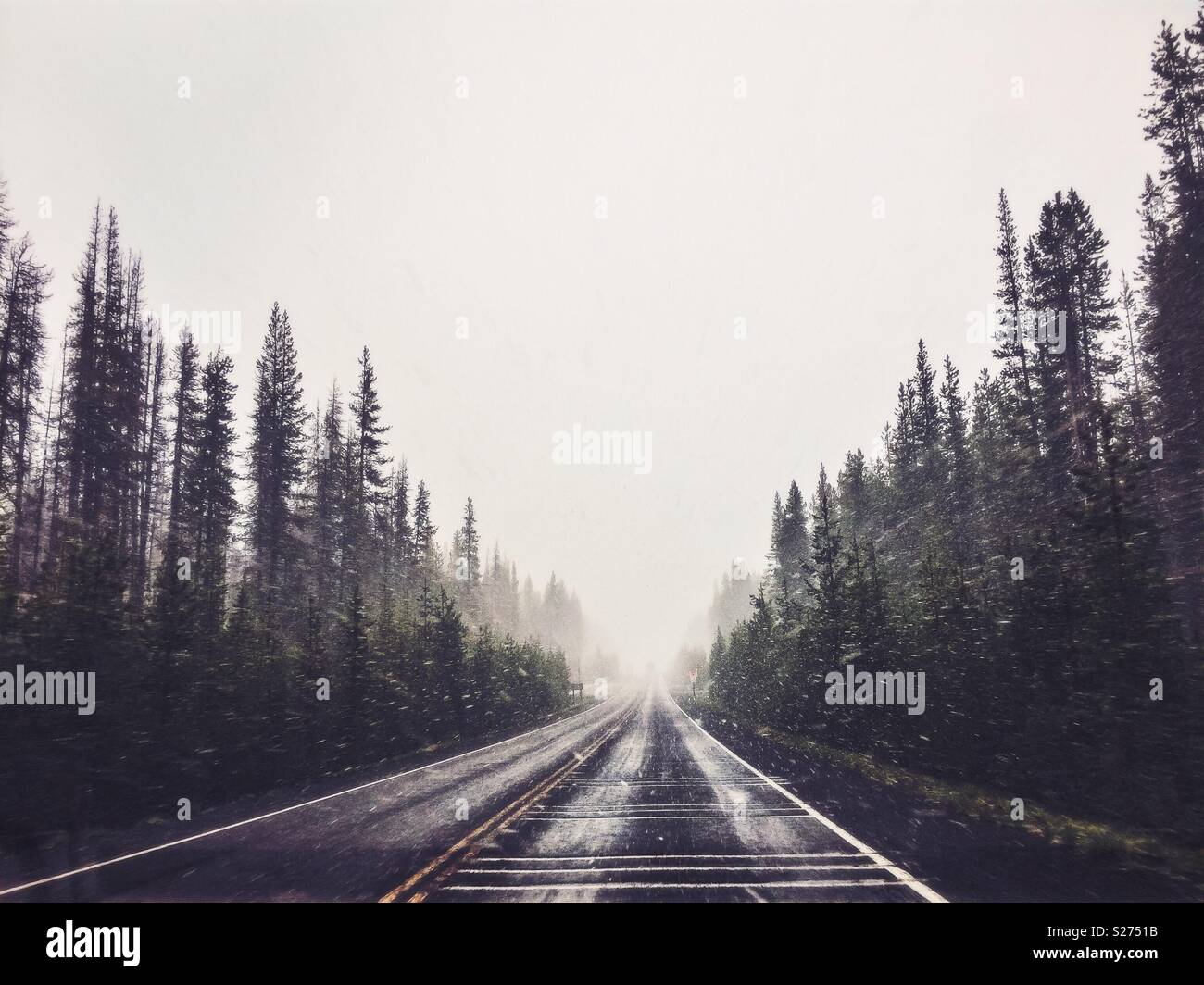 Driving through the blizzard in Crater Lake National Park in summer, Oregon, USA. Stock Photo