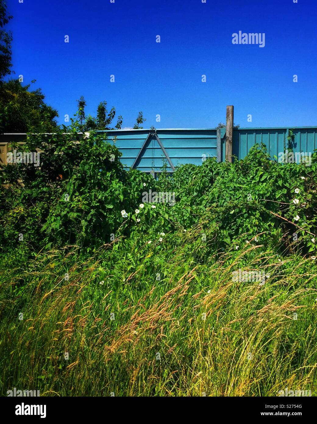 fence-in-a-field-stock-photo-alamy