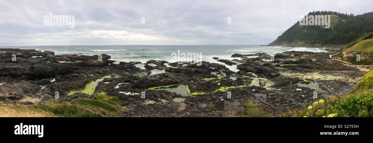Cape Perpetua Scenic Area rocky coastline, Oregon, USA. - Smartphone Captured Stock Image