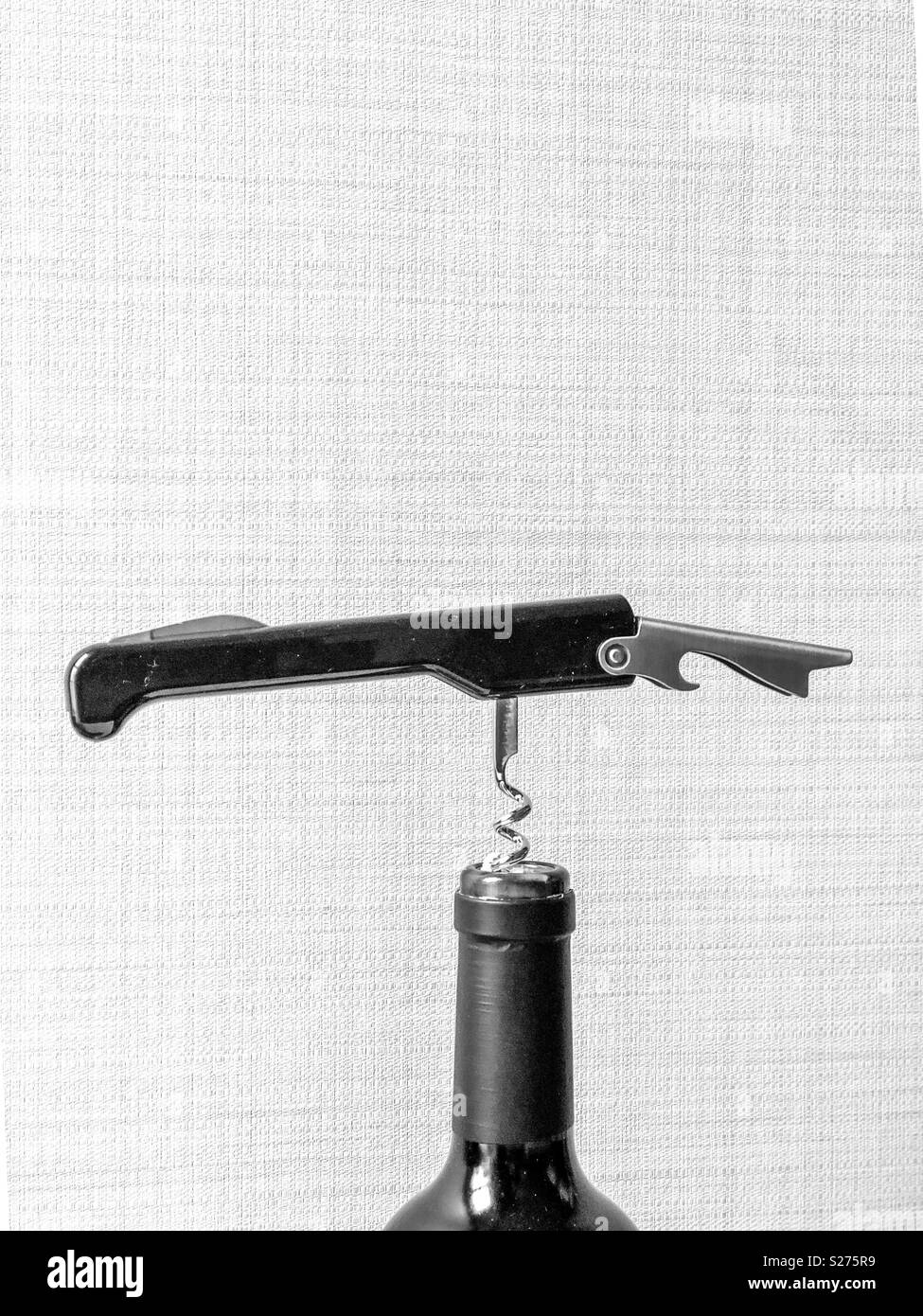 Corkscrew twisted into a cork, in a bottle of wine in black and white Stock Photo