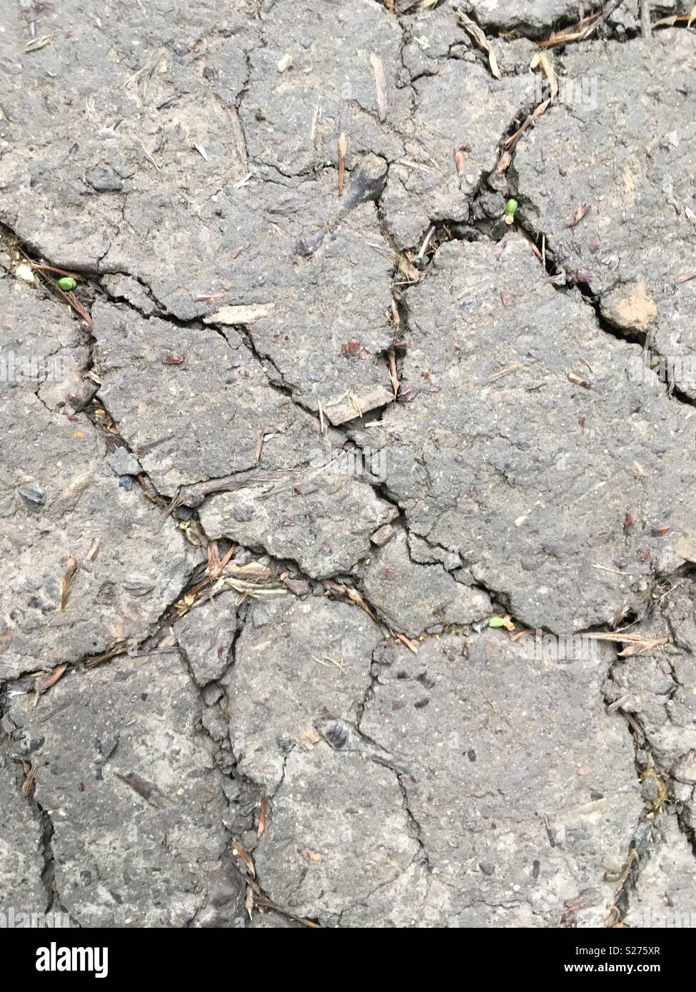Cracked soil from heatwave Stock Photo