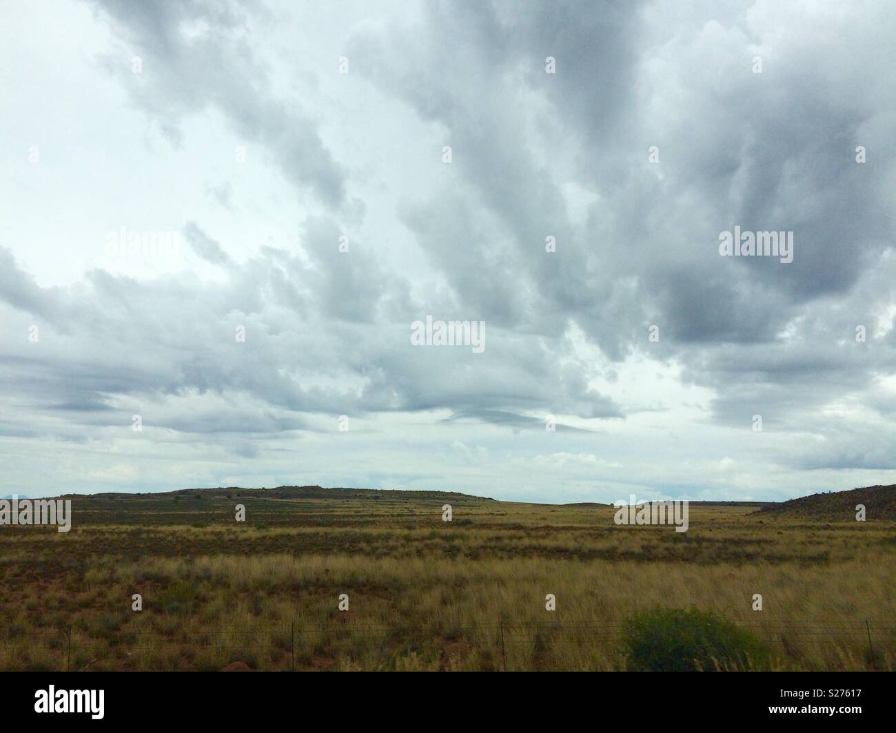 Landscape view of semi arid Karoo vegetation against backdrop of moody sky with grey clouds on Autumn day in South Africa Stock Photo
