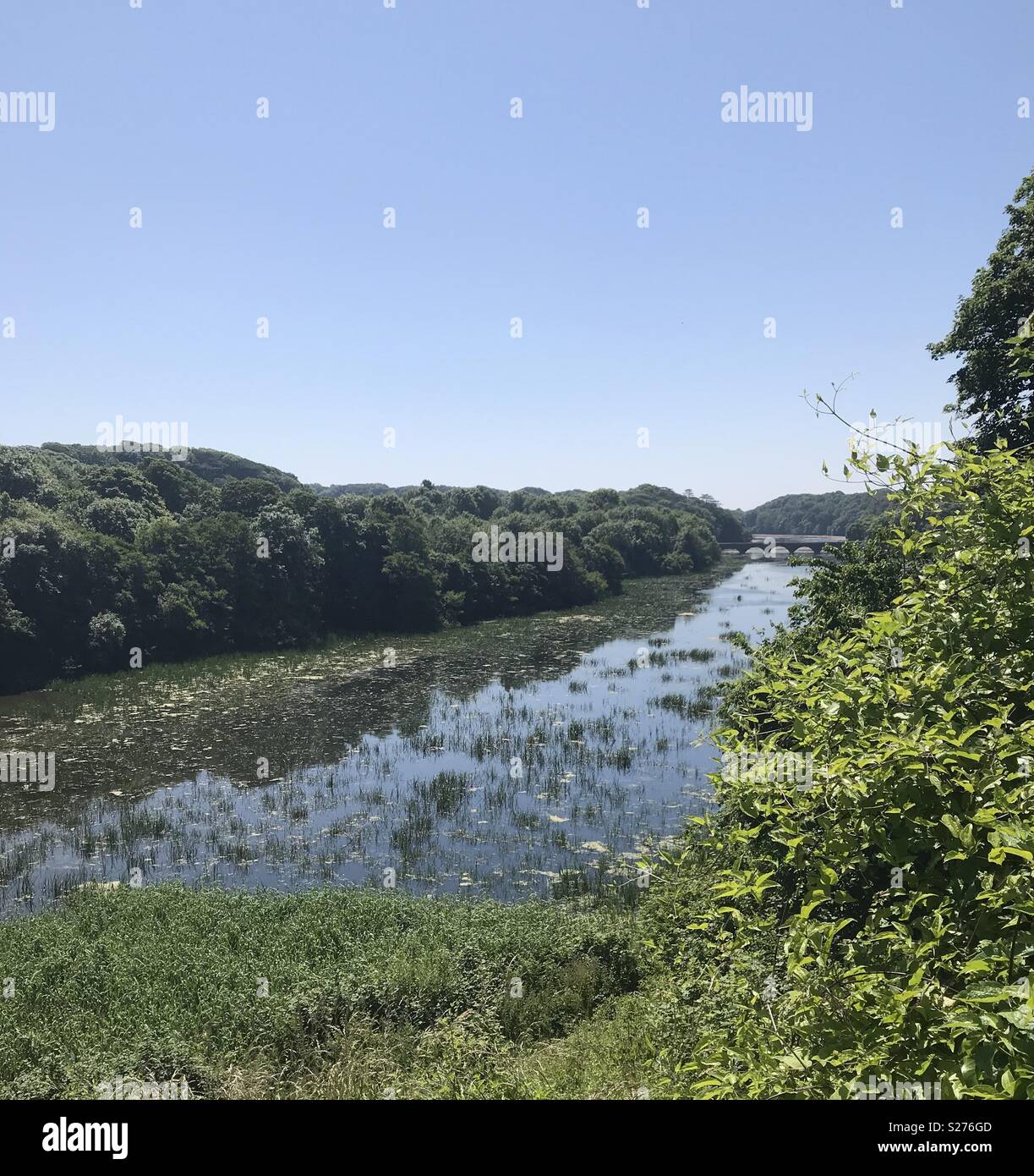 Bosherston Lily Ponds, Pembrokeshire, Wales. - Smartphone Captured Stock Image