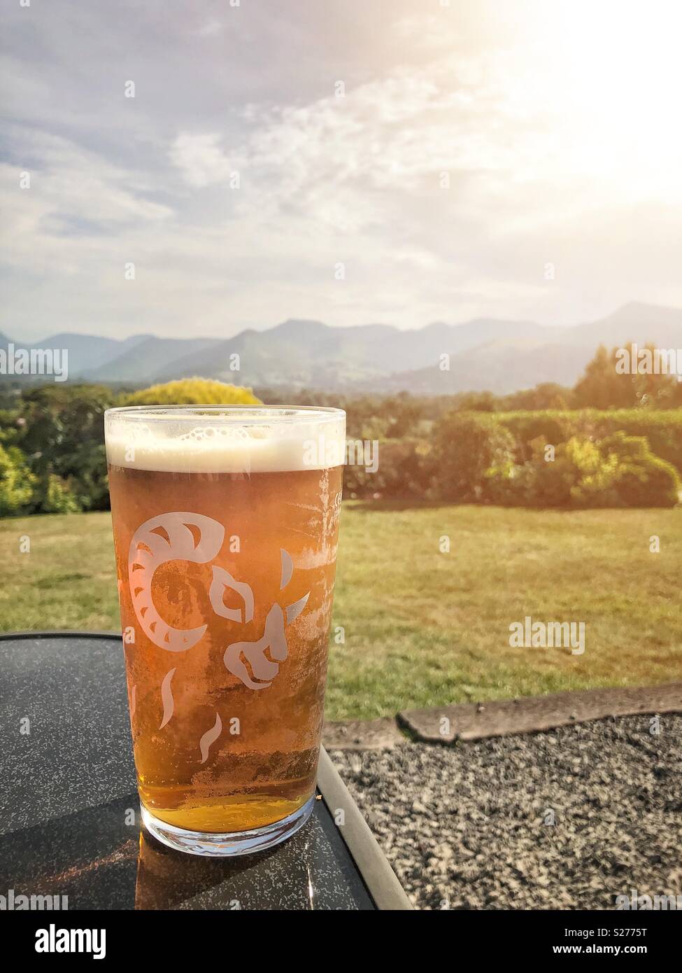 A pint of black sheep beer in the sunshine. Credit: Lee Ramsden / Alamy Stock Photo