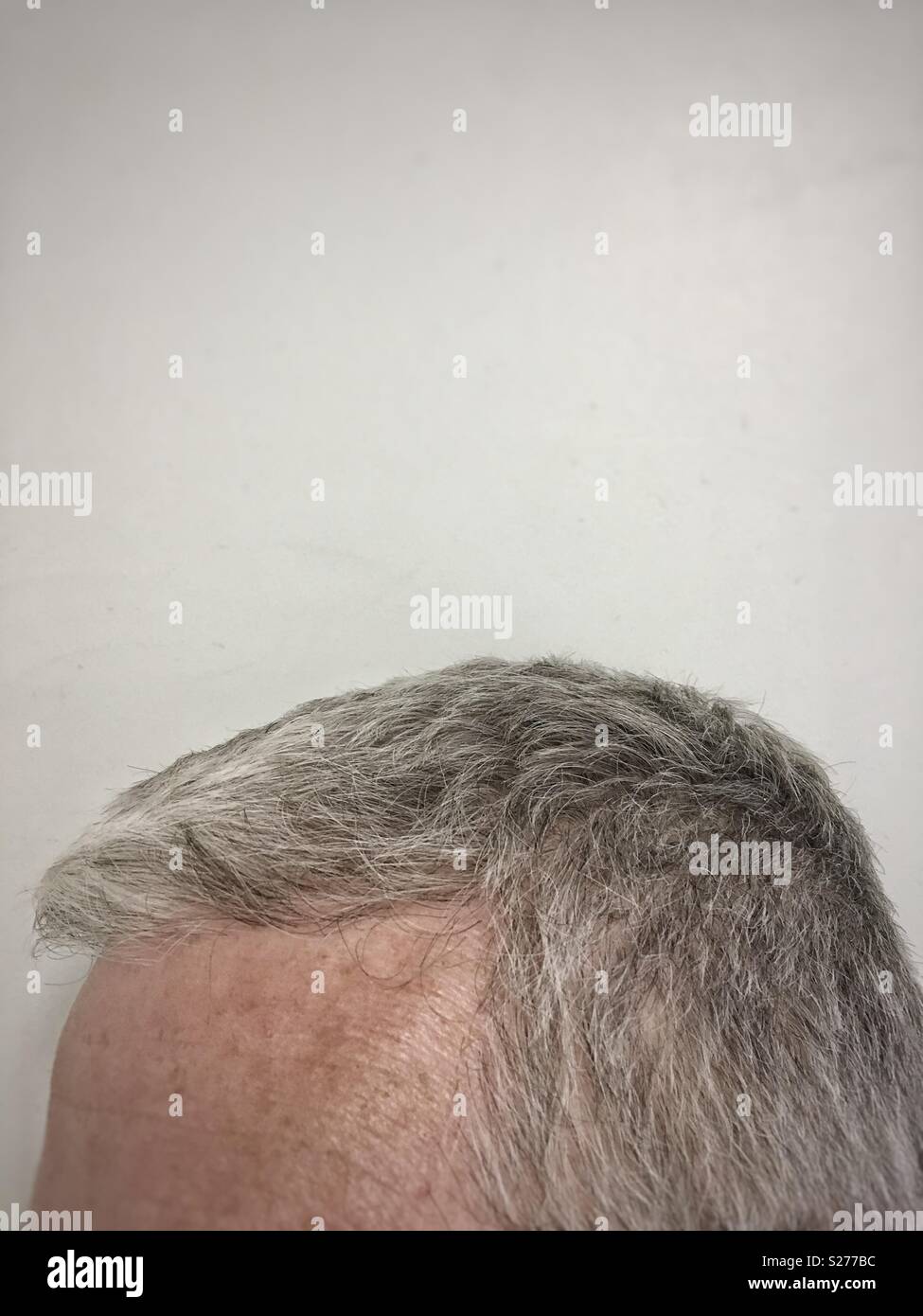 Mature Man Silver Hair Stock Photo 311175408 Alamy