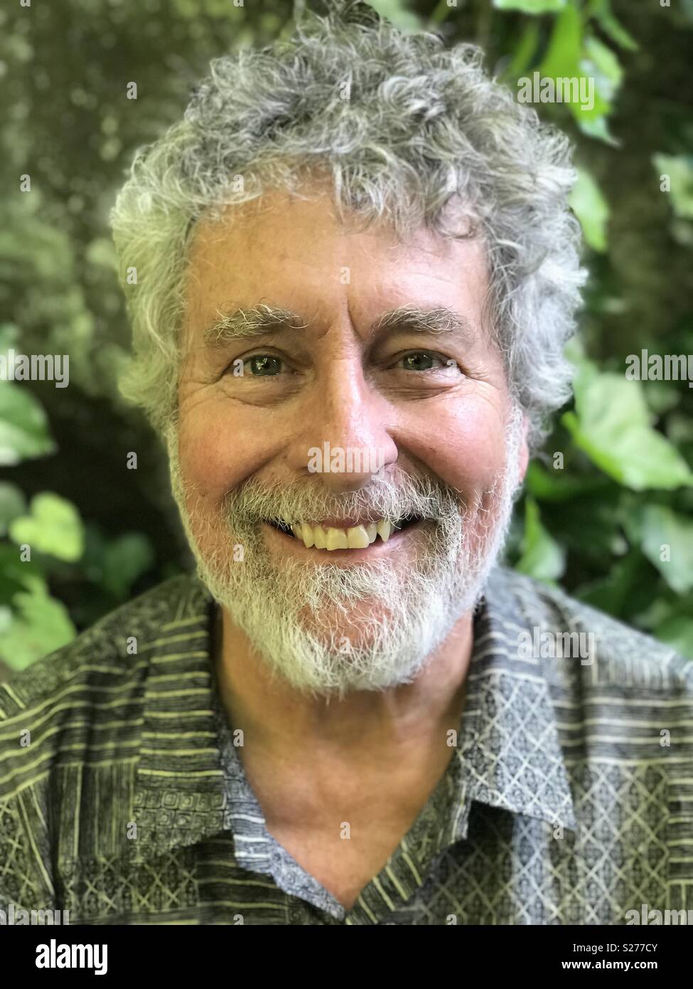 Caucasian man, age 66, with graying beard and hair Stock Photo