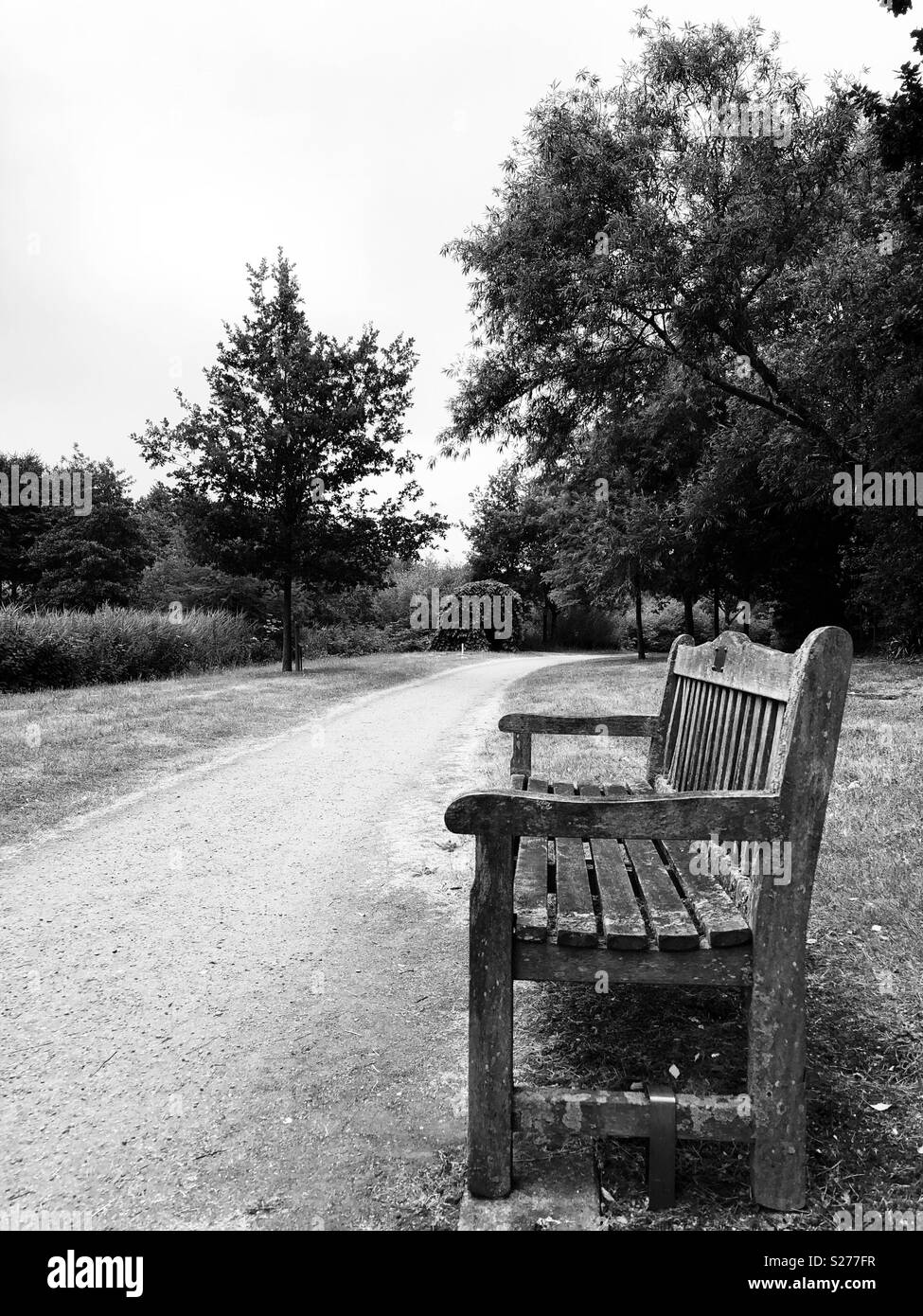 An empty bench Stock Photo