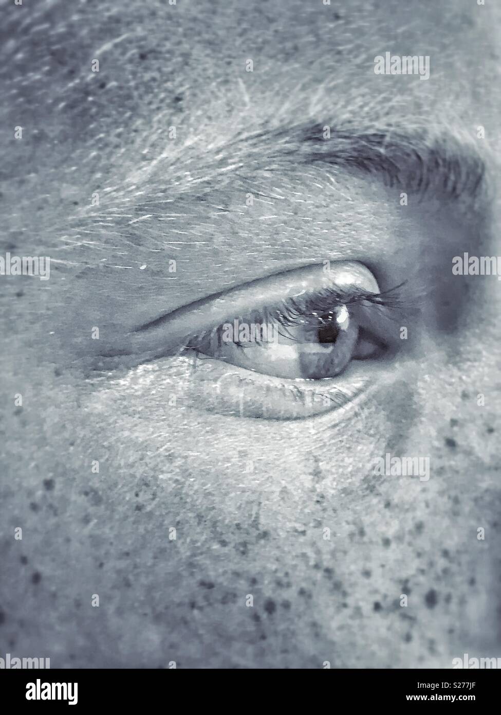 I see you! A close up picture of a child’s eye. You can also SEE freckles! Photo Credit © COLIN HOSKINS. - Smartphone Captured Stock Image