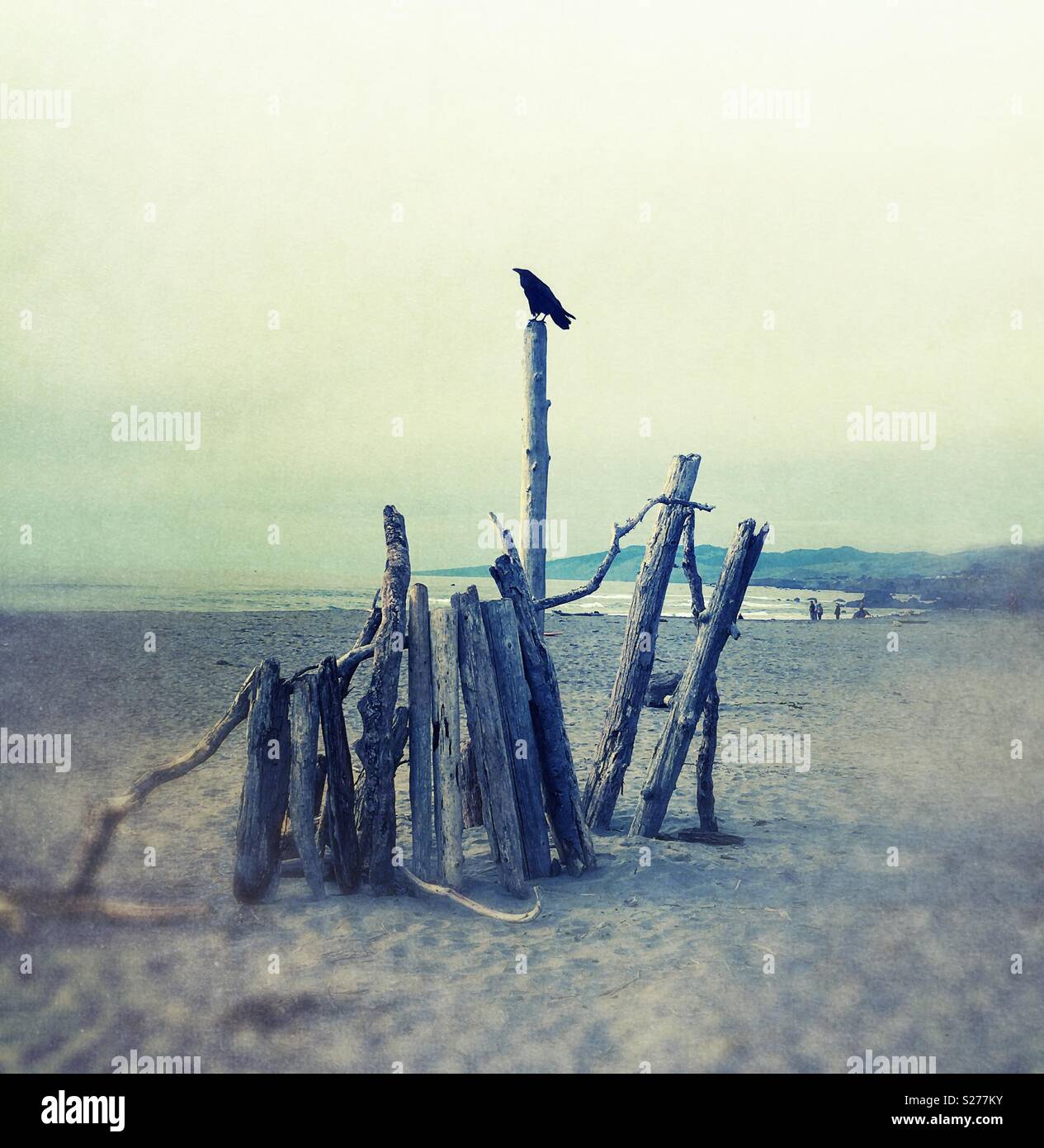 A crow sitting on top of a pole at the beach. Stock Photo