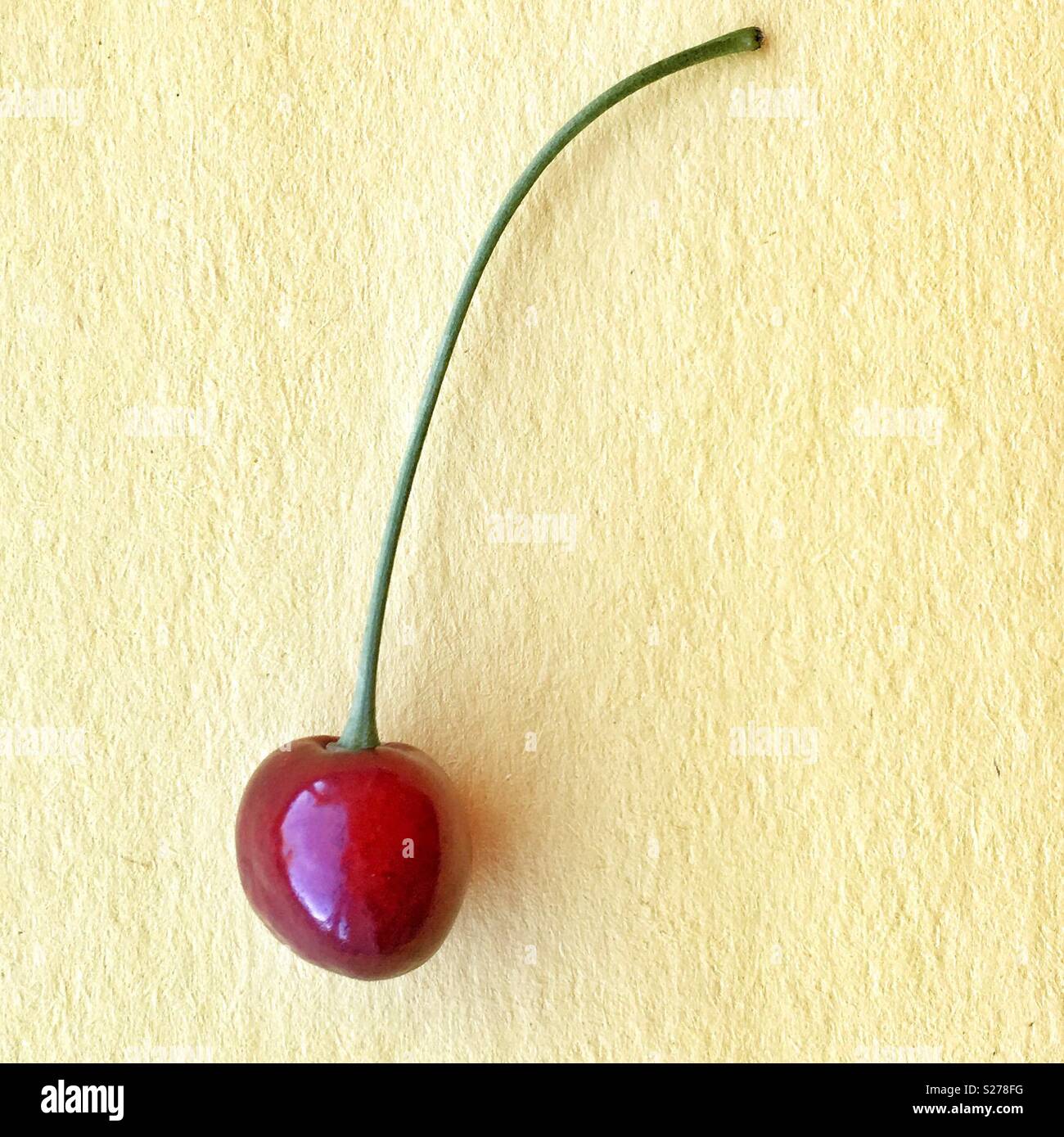 Close up of a red cherry - Smartphone Captured Stock Image