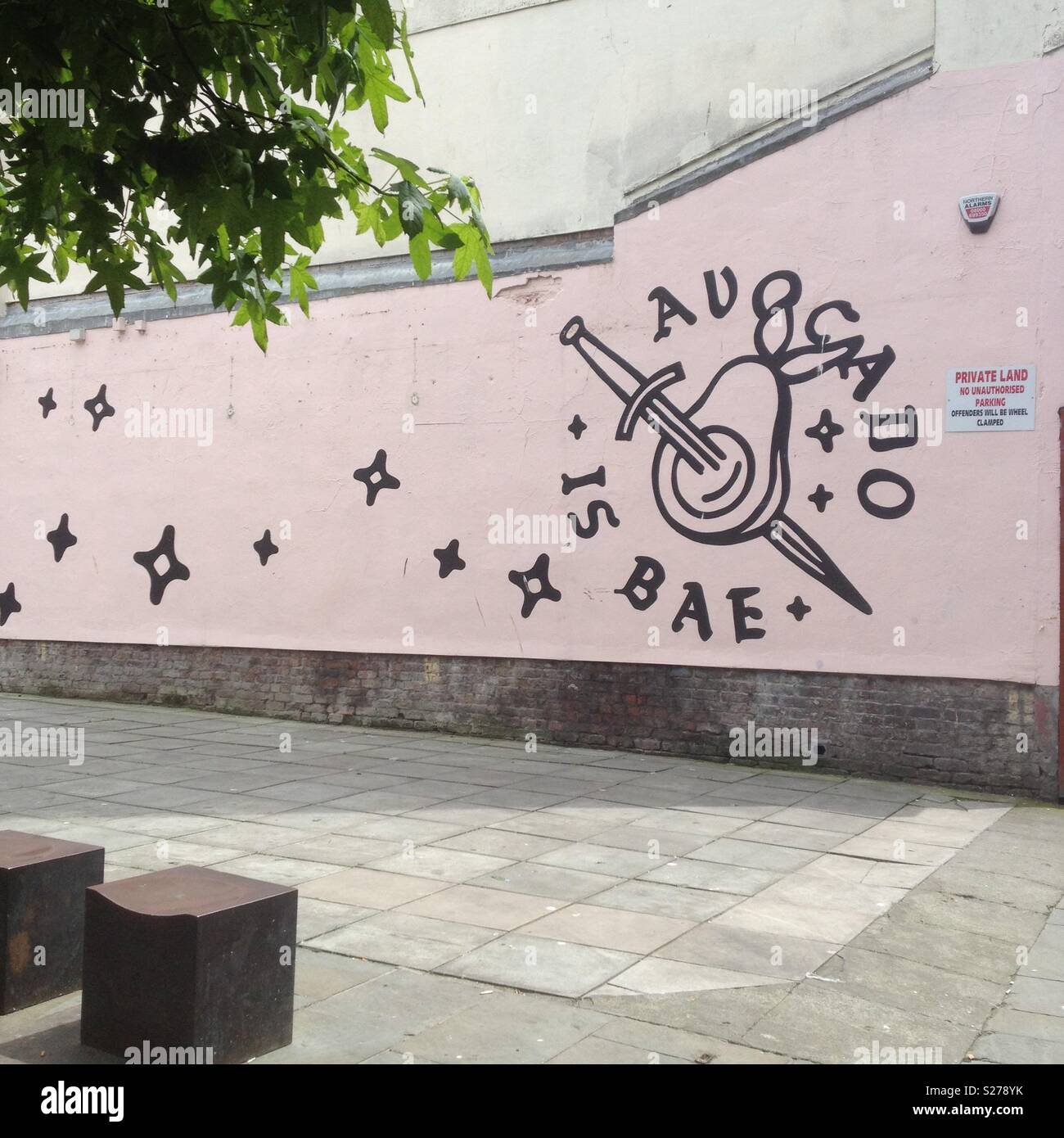 'Avocado is bae' Tattoo style picture on pink wall. Liverpool, Bold Street. Stock Photo