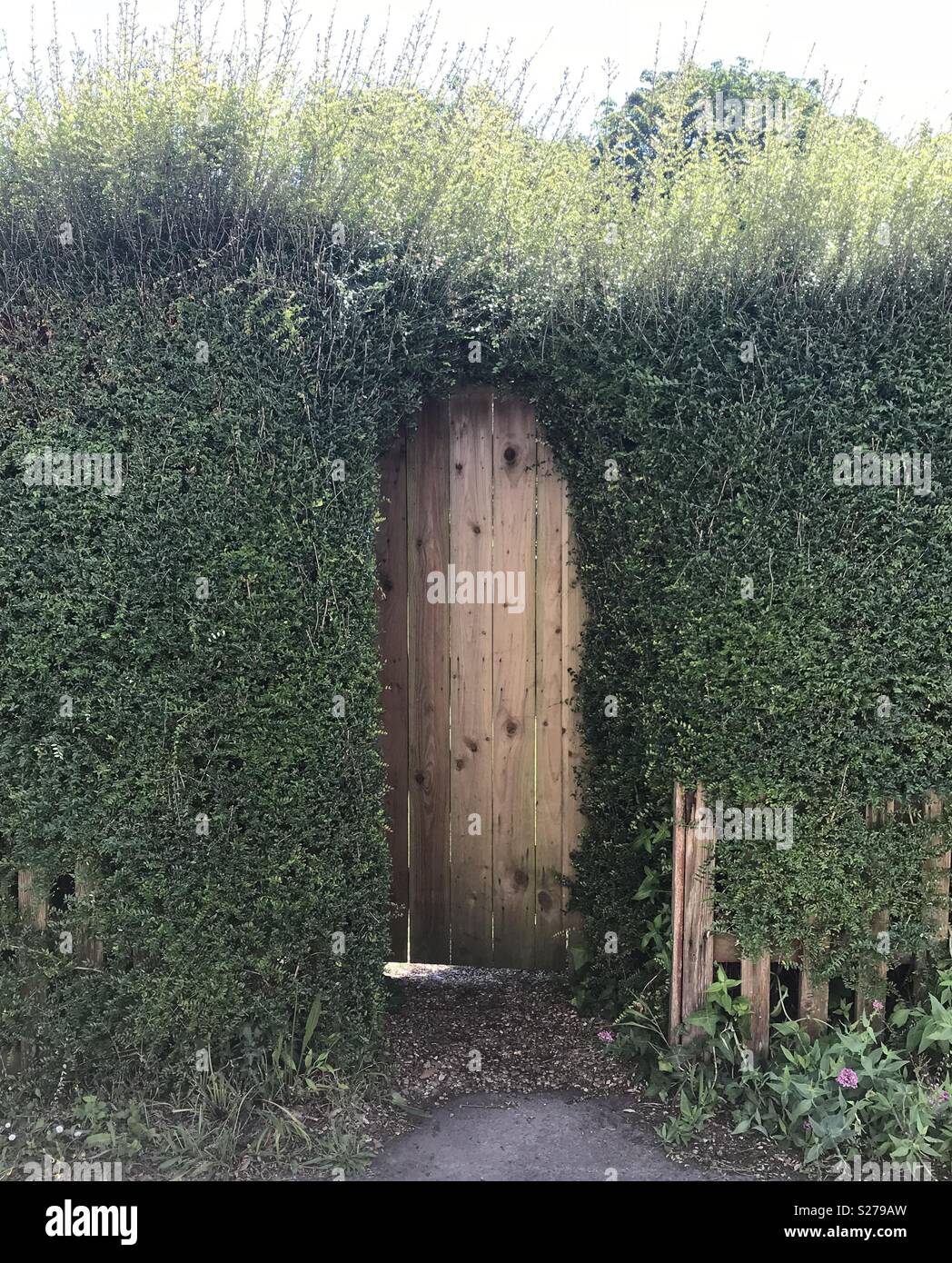 Door In Hedge Stock Photos Door In Hedge Stock Images Alamy