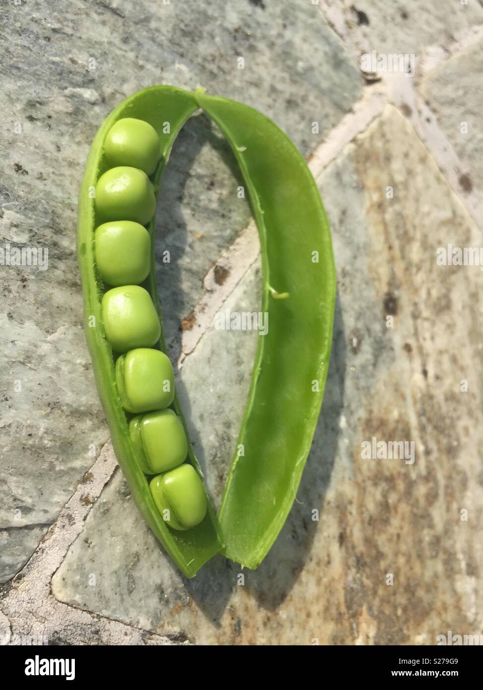 Peas in a pod, split open Stock Photo Alamy