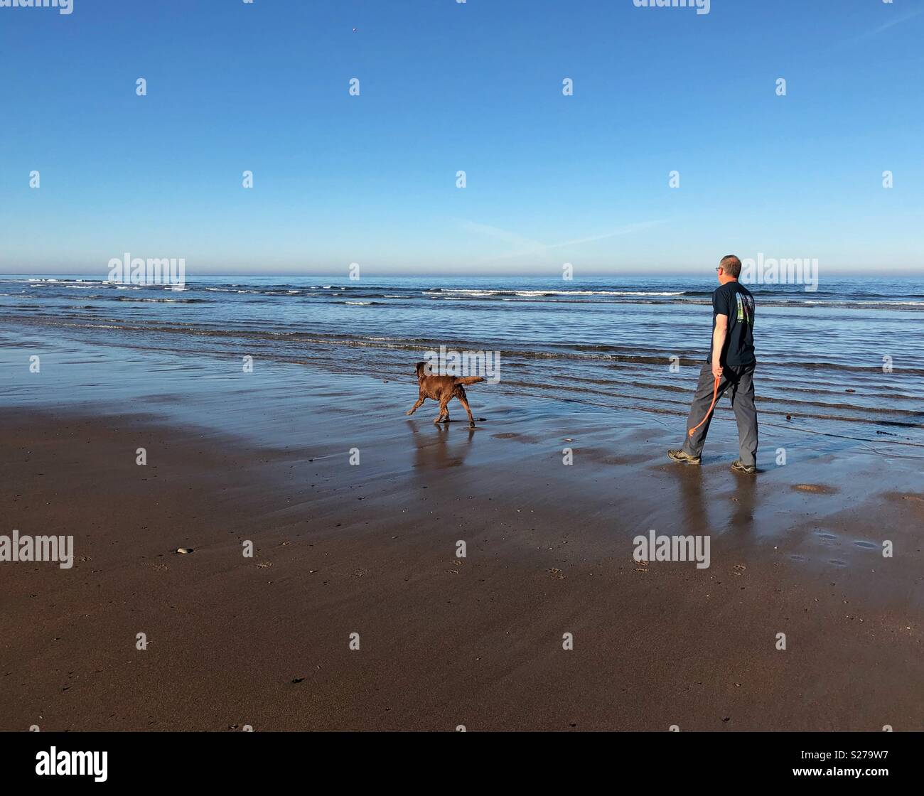 Man walking dog at beach hi-res stock photography and images - Alamy