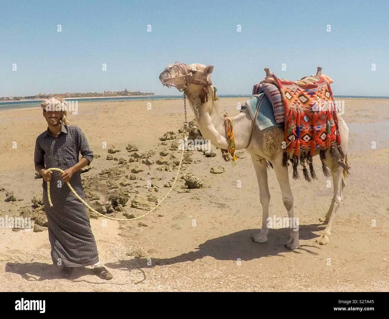 A shepherd with his camel Stock Photo - Alamy