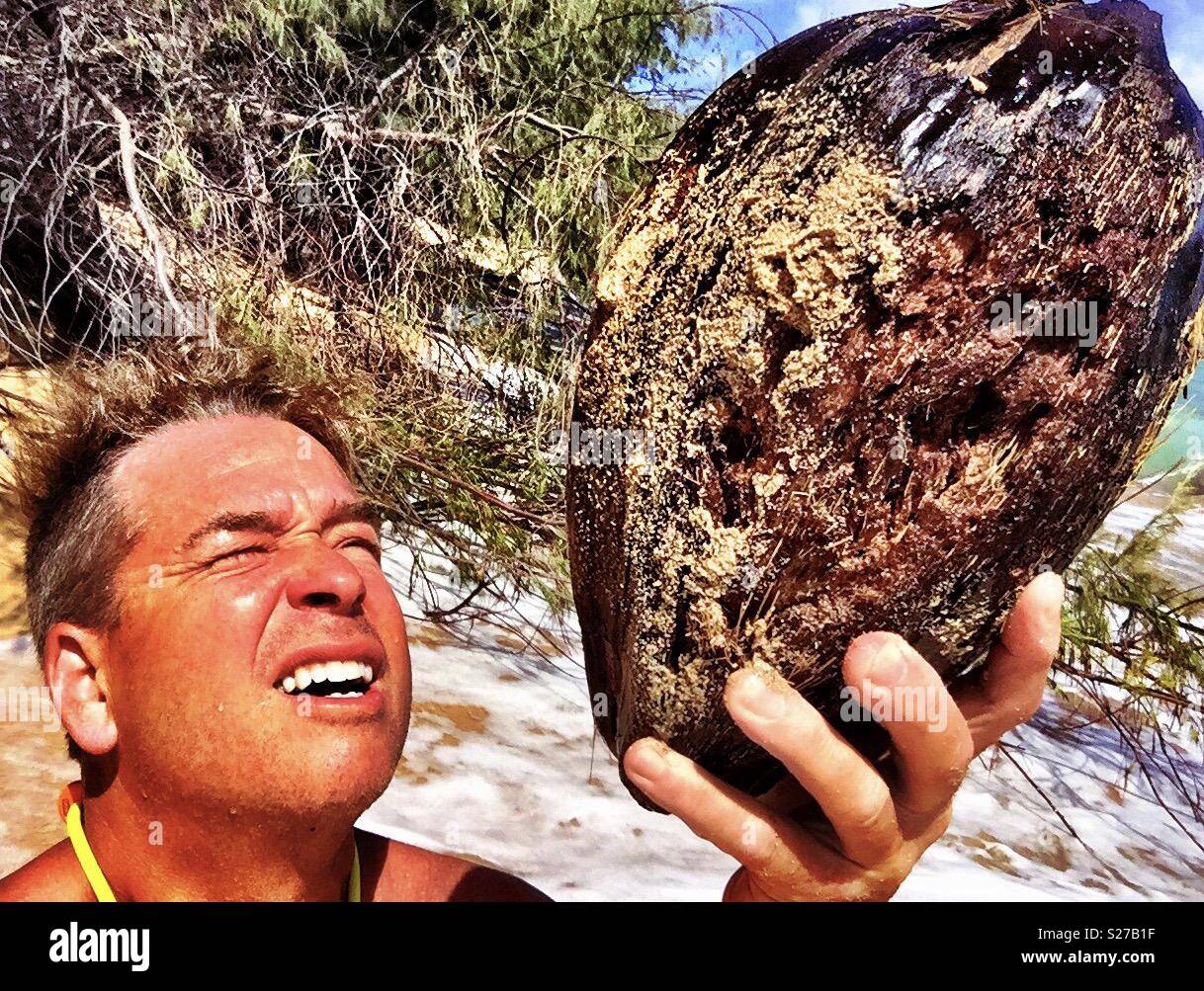 Tanned man inquisitively beholds upheld coconut plastered with sand on a deserted tropical island beach - Smartphone Captured Stock Image