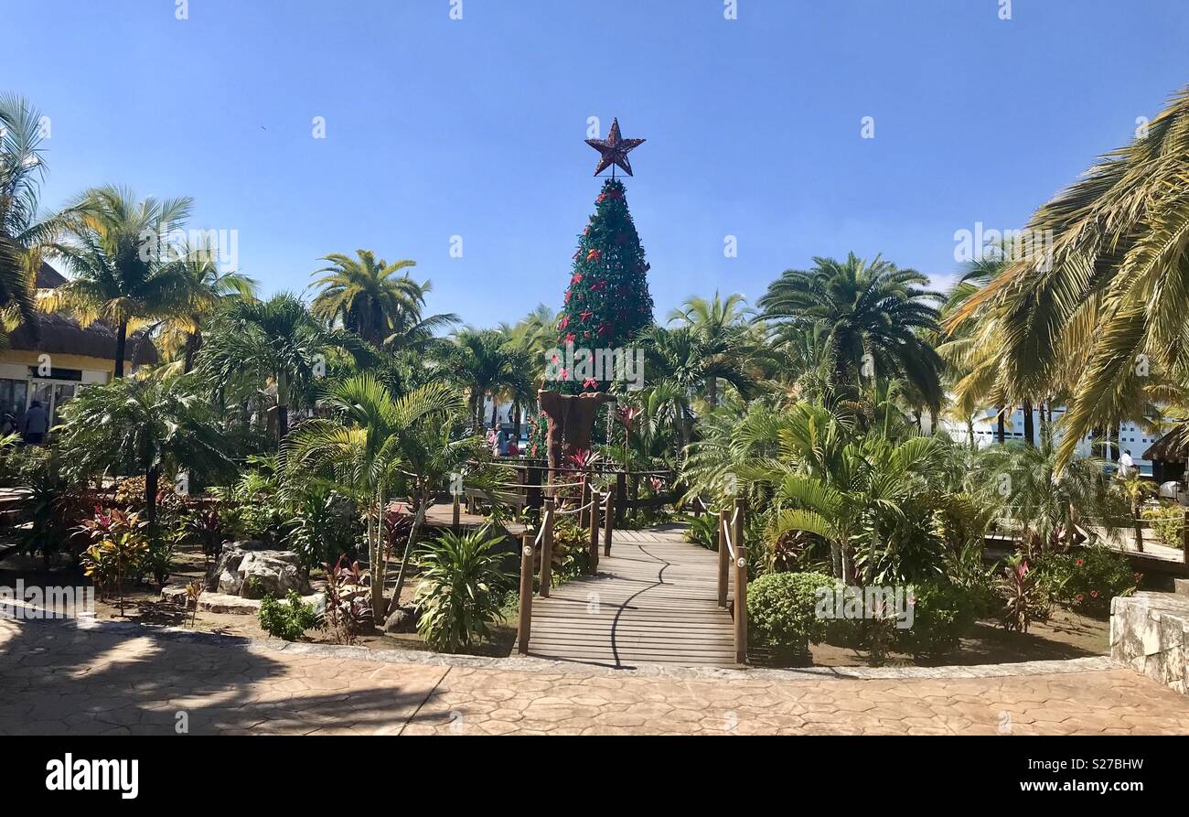 Christmas tree Cozumel cruise port Stock Photo Alamy