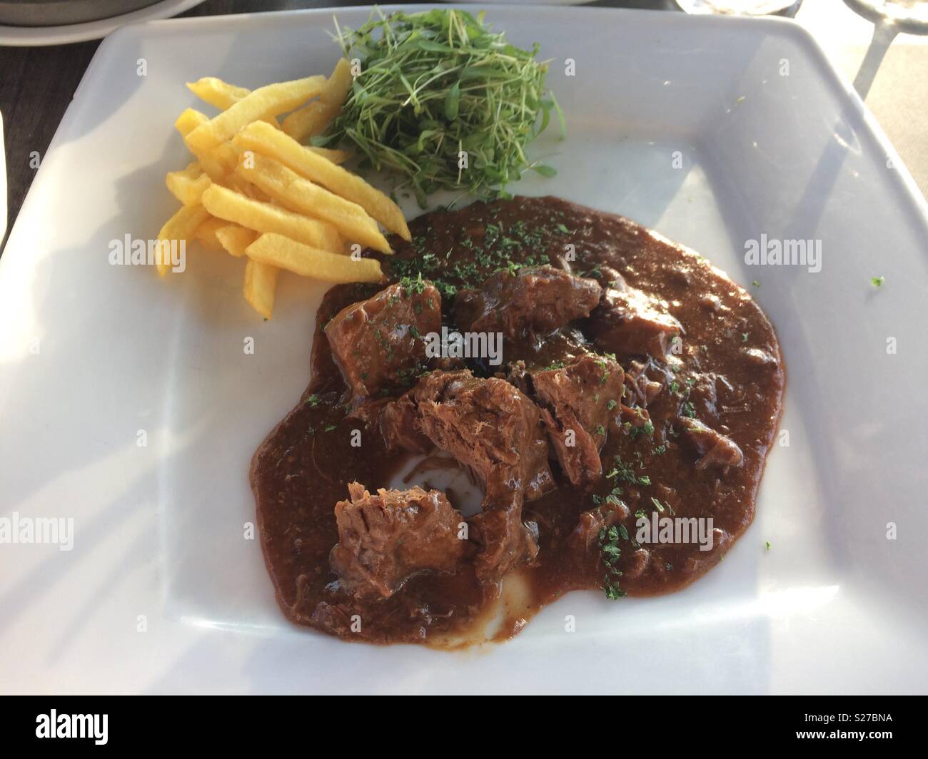 Belgian dish of carbonnade flamande - Smartphone Captured Stock Image