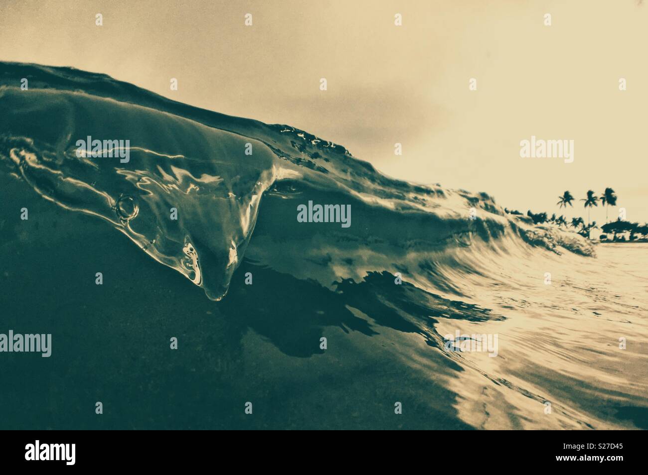 Ocean wave breaking near the shore. Room for copy. - Smartphone Captured Stock Image