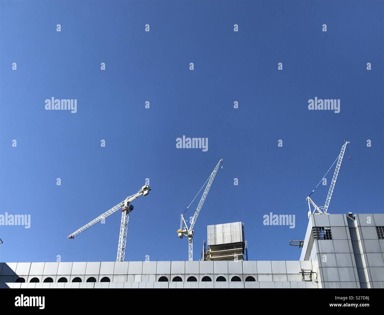 Cranes in the sky Stock Photo Alamy