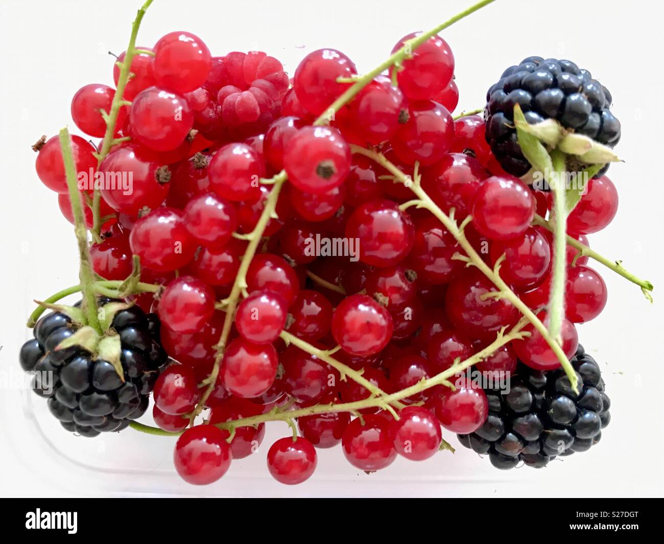 Fruits of the loom hires stock photography and images Alamy